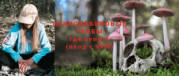 спайс Богородицк
