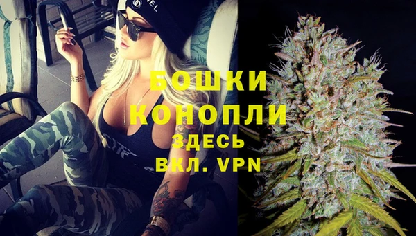 спайс Богородицк
