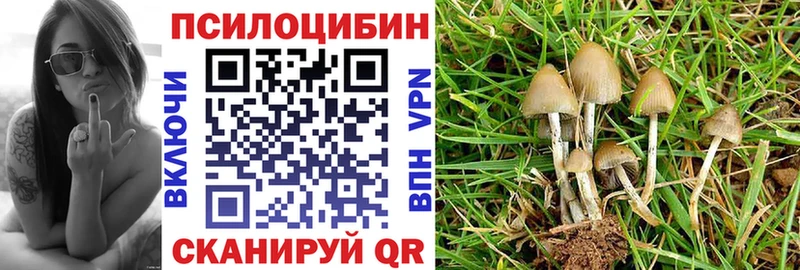 Галлюциногенные грибы Psilocybe  Дивногорск 